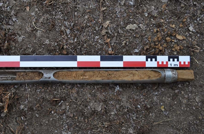 Core extracted from the tell: yellowish sediment is that of the Pleistocene substrate.