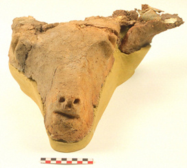 Bucrane surmodelé en terre crue, Néolithique Récent I (vers 4900 av. J.-.C.).
