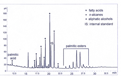 Gas chromatogram of the lipid content of a vase with perforated walls from Dikili Tash. It reveals the presence of palmitic esters, n-alkanes, fatty acids and aliphatic alcohols. This profile is characteristic of beeswax presenting signs of partial degradation (Decavallas 2007, fig. 10.5).