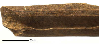 Halved red deer metapodial. The arrow indicates grooving marks.