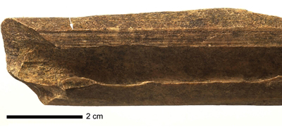 Demi métapode de cerf. La flèche indique des traces de rainurage.