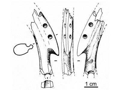 Harpoon head made from a pig tusk. Drawing of G. Der Aprahamian.