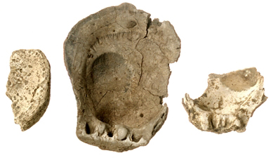 Valves de spondyles, Néolithique Récent.