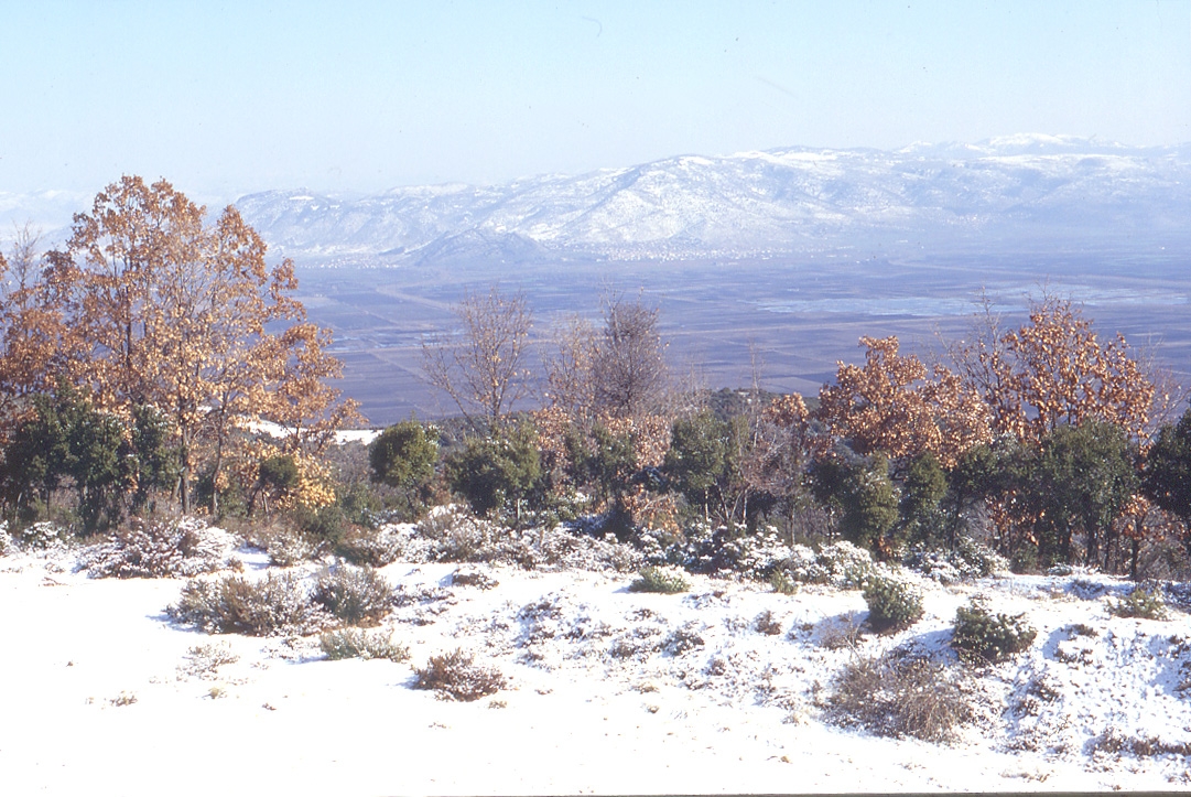 Η πεδιάδα της Δράμας το χειμώνα, όπως φαίνεται από το Παγγαίο