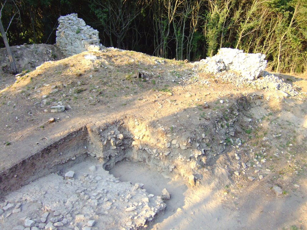 View of the excavation.