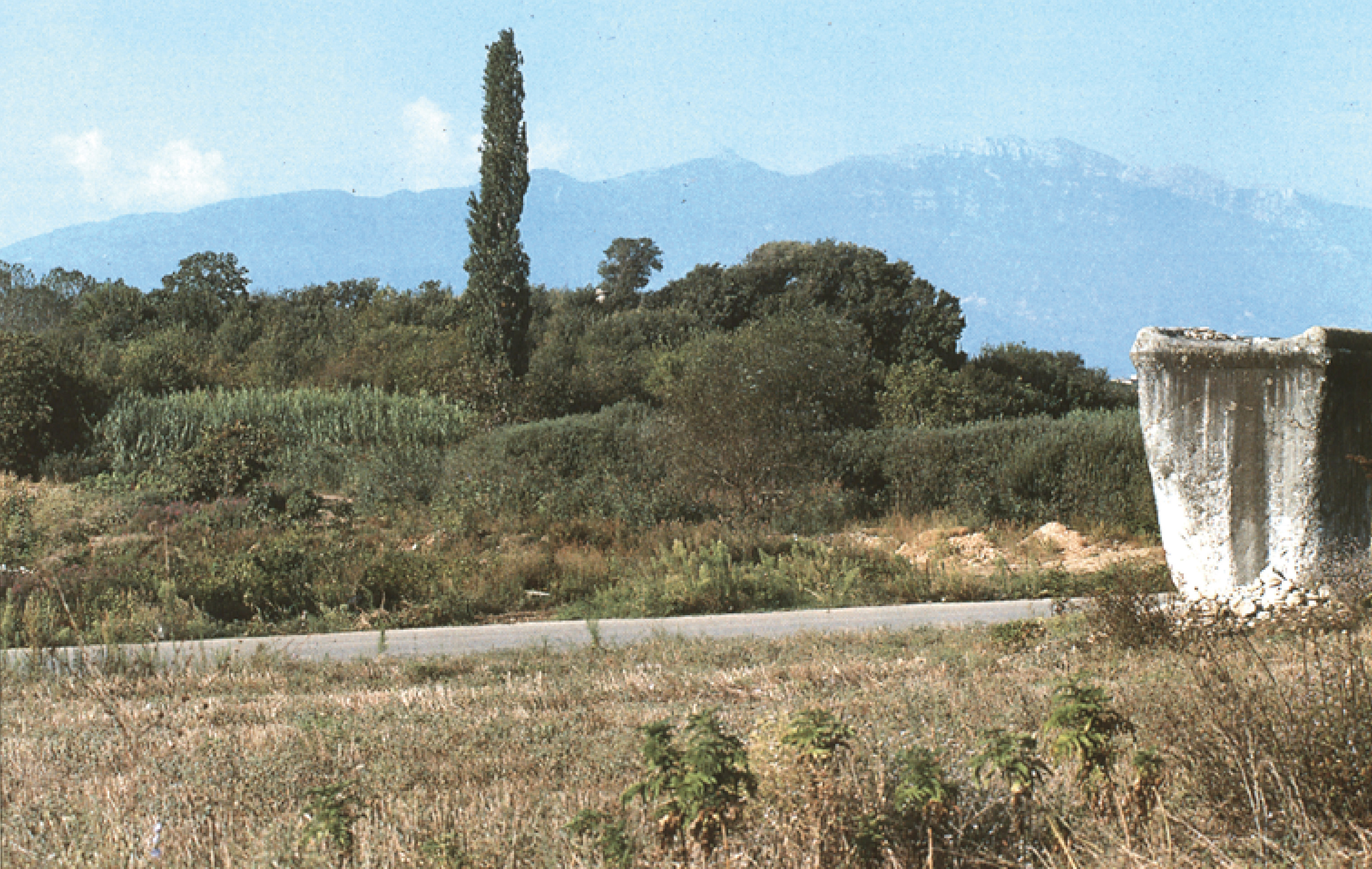 Dikili Tash: in the foreground, the monument of Caius Vibius, and behind it the tell.