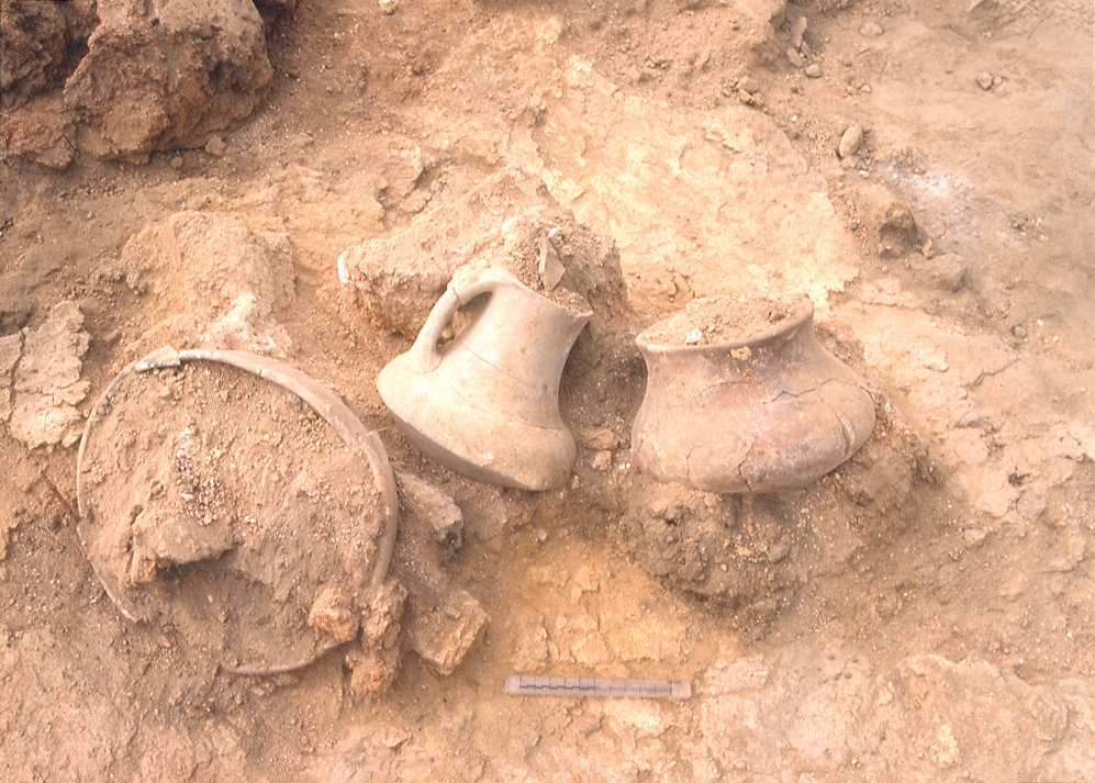 View of the excavation.